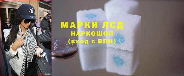 индика Михайлов
