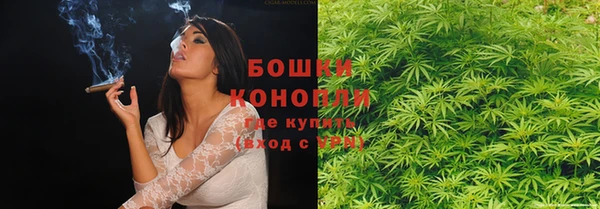 индика Михайлов