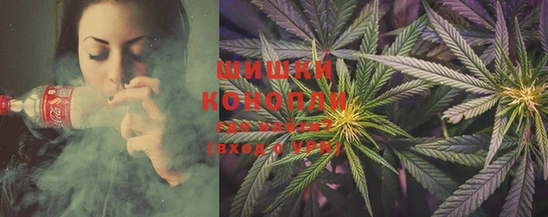 индика Михайлов