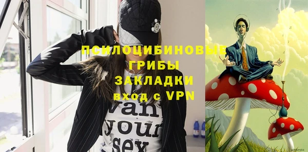 ПСИЛОЦИБИНОВЫЕ ГРИБЫ Наволоки